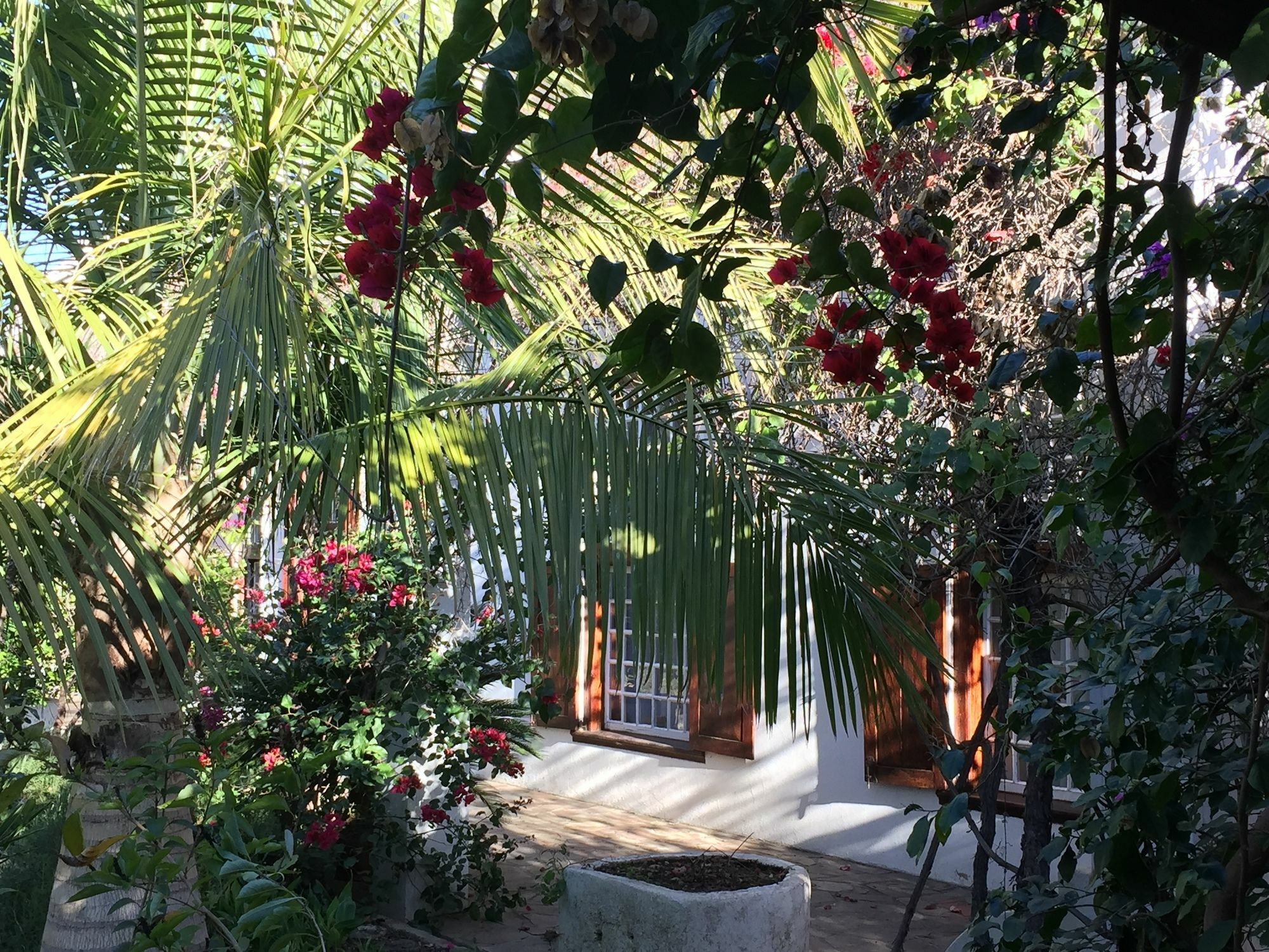Wittedrift Manor House Hotel Tulbagh Luaran gambar