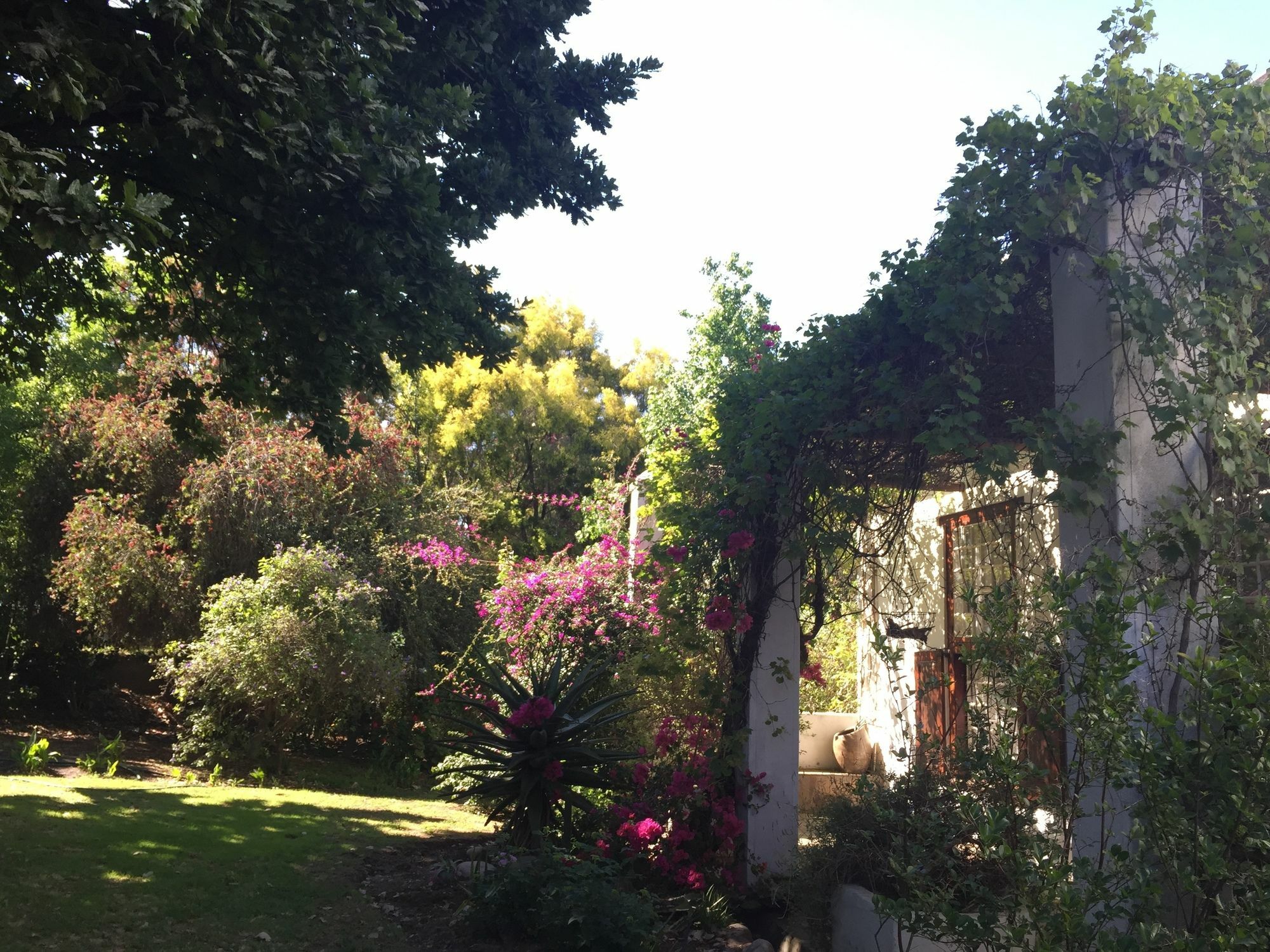Wittedrift Manor House Hotel Tulbagh Luaran gambar