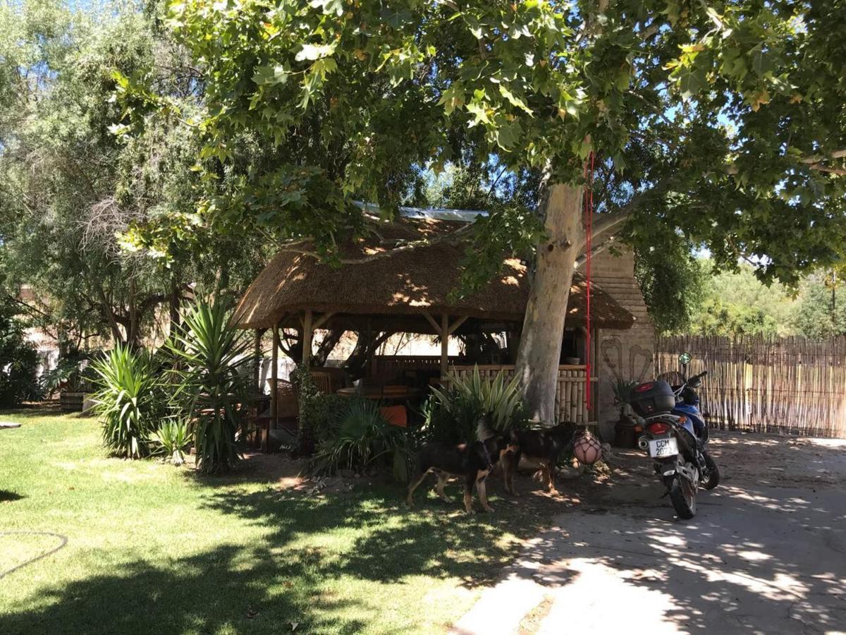 Wittedrift Manor House Hotel Tulbagh Bilik gambar